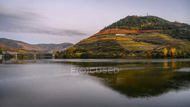 Rio Douro com vinhas nas colinas coloridas, Vale do Douro; Pinhao, Distrito de Viseu, Portugal — Fotografia de Stock