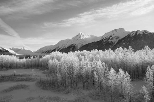Invierno escénico de picos de montañas y valle en Alaska, Portage Valley en el centro-sur de Alaska; Anchorage, Alaska, Estados Unidos de América - foto de stock