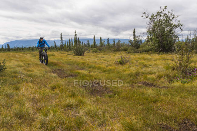 Man fat biking on a hunting trail in Wrangell - St. Elias National Park and Preserve on a cloudy summer day in South-central Alaska, United States of America — стокове фото
