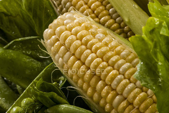 Primer plano de un maíz fresco y guisantes en vainas, Toronto, Ontario, Canadá - foto de stock