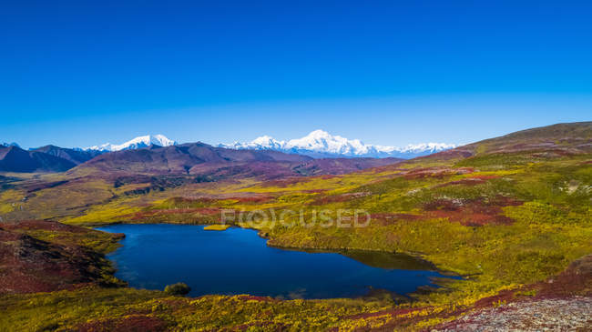 Denali National Park and Preserve visto da Peters Hills con Mount Denali, conosciuto come Mount McKinley, e Alaska Range, Trapper Creek, Alaska, Stati Uniti d'America — Foto stock