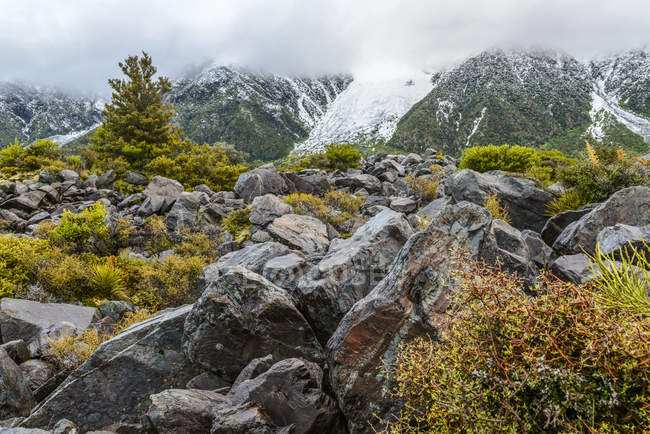 Roca y vegetación a lo largo de Hooker Valley Track, Mount Cook National Park; Isla Sur, Nueva Zelanda - foto de stock
