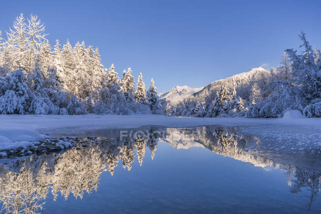 Tarde de invierno a lo largo de la costa del río Mendenhall, bosque nacional de Tongass; Juneau, Alaska, Estados Unidos de América - foto de stock