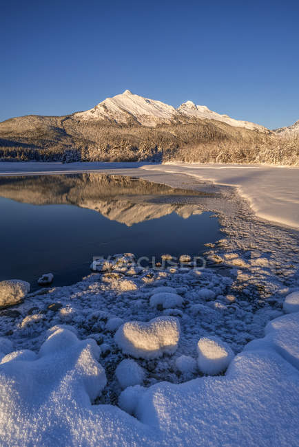 Tarde de invierno a lo largo de la costa del río Mendenhall, bosque nacional de Tongass; Juneau, Alaska, Estados Unidos de América - foto de stock
