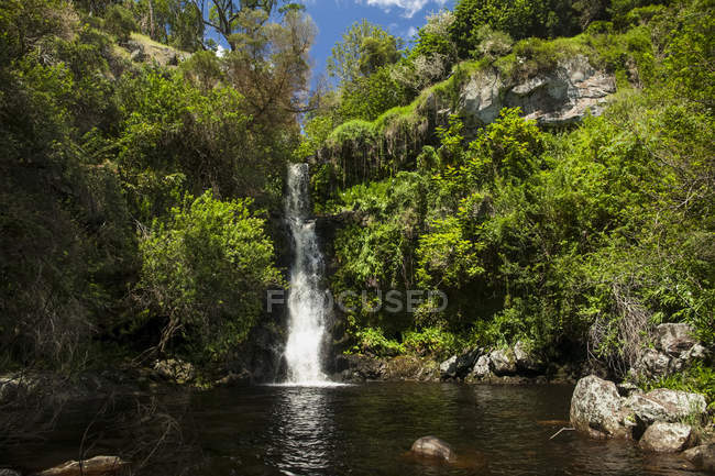 Waterfall, Kohala Mountain, acima de Waimea, Ilha do Havaí, Havaí, Estados Unidos da América — Fotografia de Stock