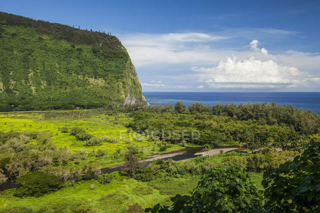 Valle y arroyo Waipio, Costa Hamakua, cerca de Honokaa; Isla de Hawái, Hawái, Estados Unidos de América - foto de stock