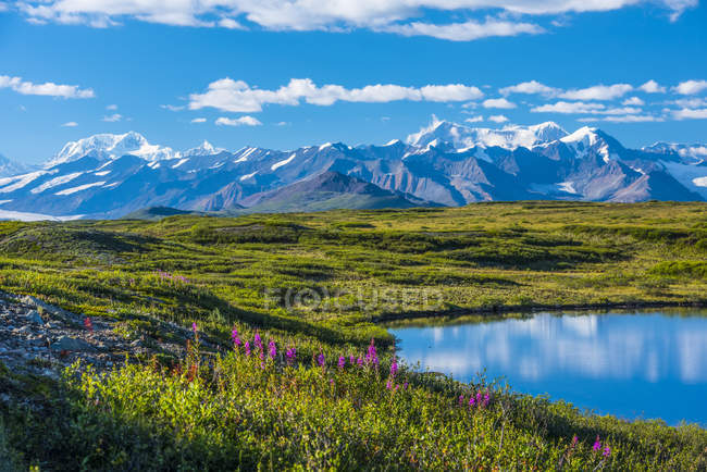 A cordilheira do Alasca, vista da McLaren Ridge Trail fora da Alaska Highway em um dia ensolarado de verão no centro-sul do Alasca; Alaska, Estados Unidos da América — Fotografia de Stock