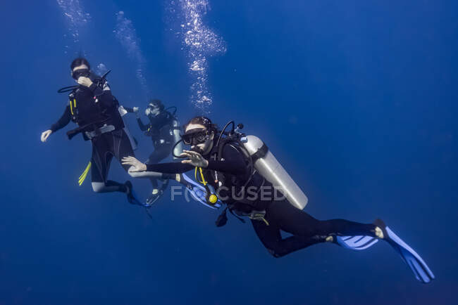Mergulhadores em Roatan Marine Park, West End Wall local de mergulho; Roatan, Honduras — Fotografia de Stock