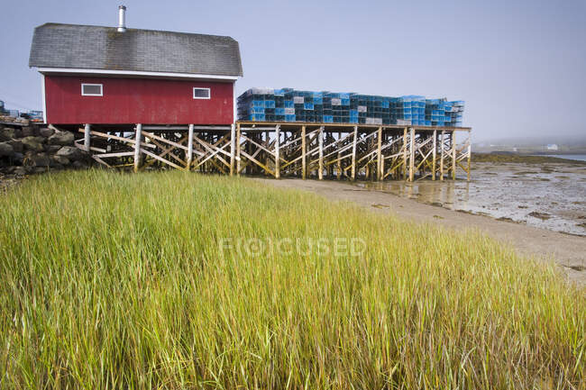 Trampas de langosta apiladas junto a la chabola de pesca, Bahía de Fundy; Tiverton, Long Island, Nueva Escocia, Canadá - foto de stock