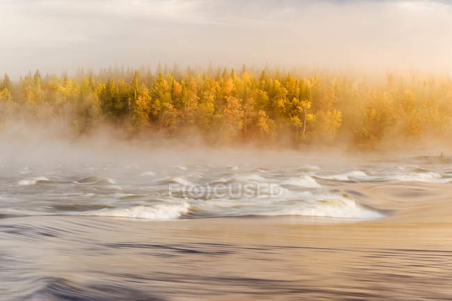 Fließendes Wasser mit Nebel über einem Fluss und herbstfarbenem Wald, Störfälle, Whiteshell Provincial Park, Manitoba, Kanada — Stockfoto