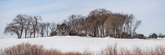 Разрушенный фермерский дом зимой, недалеко от Виннипега; Манитоба, Канада — стоковое фото