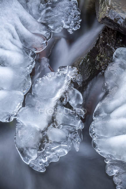 Primer plano del hielo en un arroyo a finales del invierno; Bedford, Nueva Escocia, Canadá - foto de stock