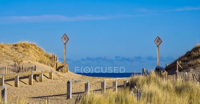 Pasarela de playa bordeada de vallas de madera y hierbas altas en la costa atlántica; South Shields, Tyne and Wear, Inglaterra - foto de stock