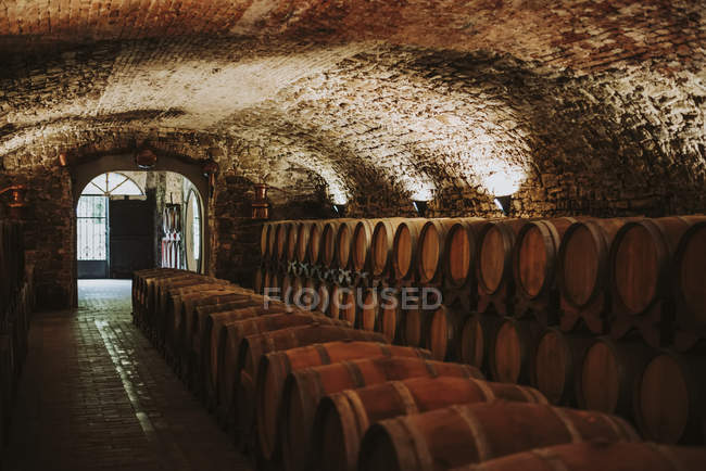 Barrels in a rows at wine cellar; Italy — Stock Photo