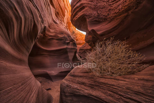 Мальовничий вид на величний слот каньйону, відомий як Каньйон Ратленаке; Page, Арізона, Сполучені Штати Америки — стокове фото