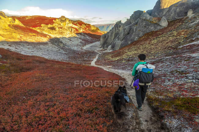 Женщина-турист, турист со своей собакой на хребте Кезуги Трейл осенью, Denali State Park; Аляска, Соединенные Штаты Америки — стоковое фото
