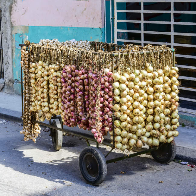 Saiten aus frischen Zwiebeln und Knoblauch zum Verkauf auf einem Einkaufswagen auf der Straße; Havanna, Kuba — Stockfoto