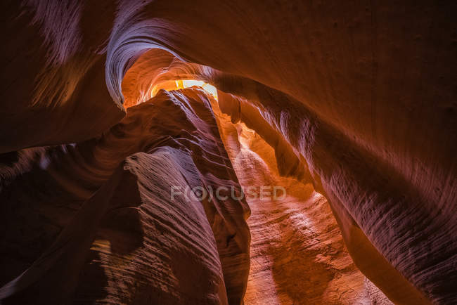 Vue panoramique du majestueux canyon Slot connu sous le nom de canyon du crotale ; Page, Arizona, États-Unis d'Amérique — Photo de stock