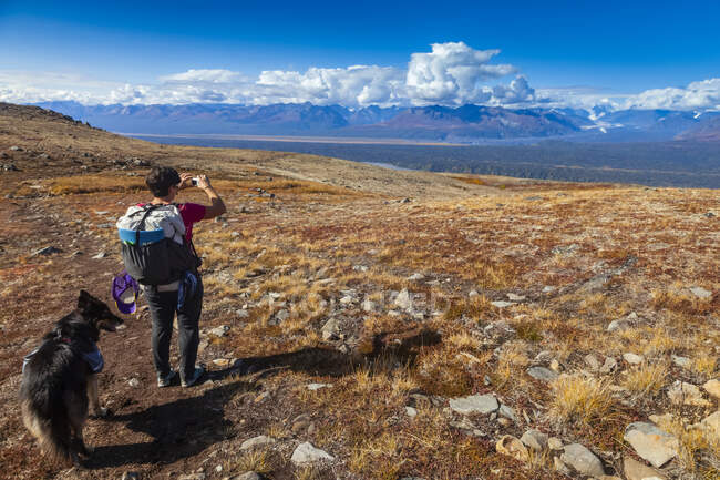 Femme routards et son chien s'arrêtent pour prendre une photo de la chaîne de l'Alaska lors d'une randonnée sur le sentier Kesugi Ridge dans Denali State Park, Alaska à l'automne ; Alaska, États-Unis d'Amérique — Photo de stock