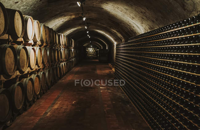 Бочки в винному підвалі (Італія). — стокове фото