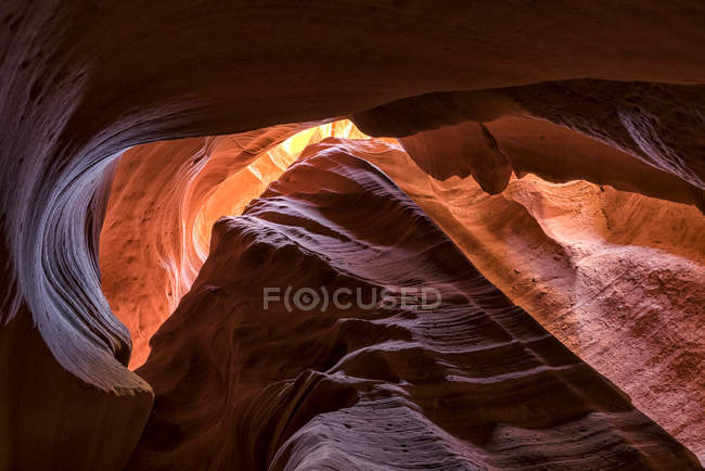 Живописный вид на величественный каньон Слот, известный как каньон Раттлснаке; Пейдж, Аризона, Соединенные Штаты Америки — стоковое фото