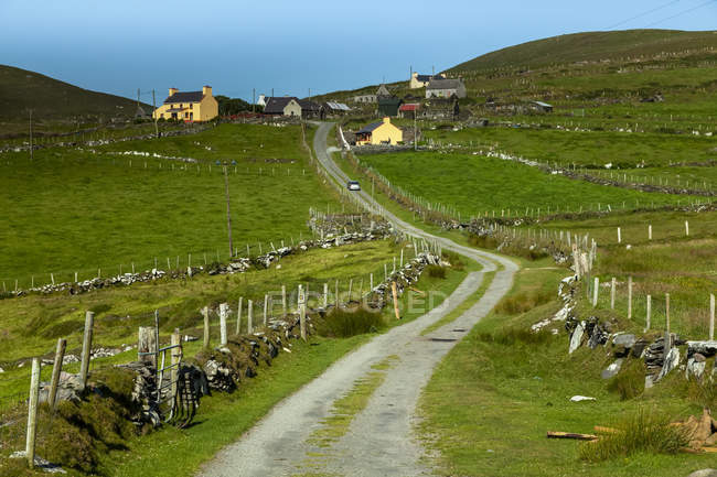Straße, die durch Weiden zu Häusern auf einem Hügel auf der Insel Dursey auf der Halbinsel Beara führt, wilder atlantischer Weg; Insel Dursey, Grafschaft Kork, Irland — Stockfoto