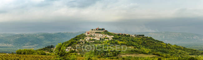 Viñedo que rodea la colina ciudad medieval de Motovun, Istria, Croacia - foto de stock