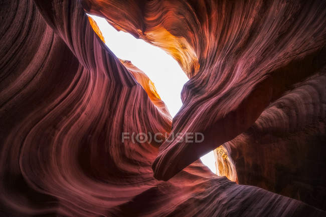 Vue panoramique du majestueux canyon Slot connu sous le nom de canyon du crotale ; Page, Arizona, États-Unis d'Amérique — Photo de stock