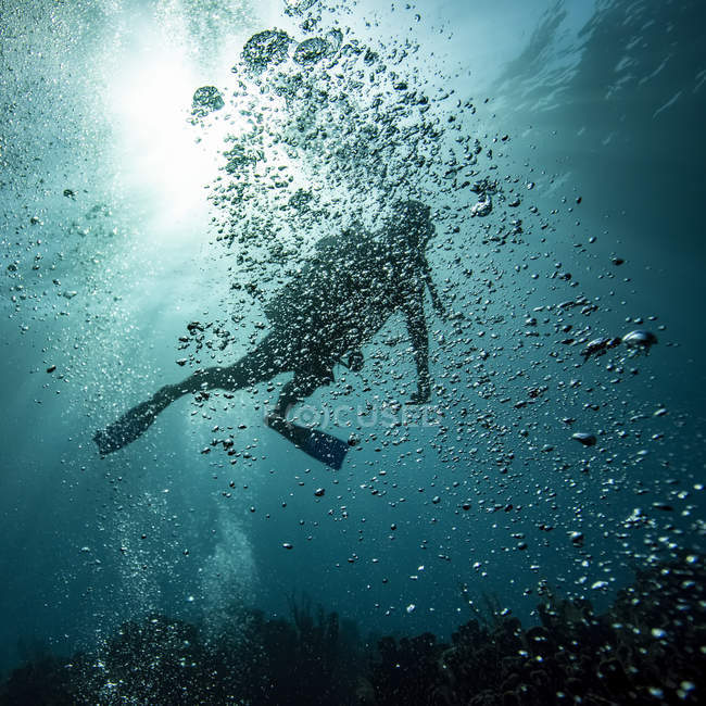 Mergulhador obscurecido por bolhas subaquáticas no local de mergulho Blue Channel, Roatan Marine Park; Bay Islands Department, Honduras — Fotografia de Stock
