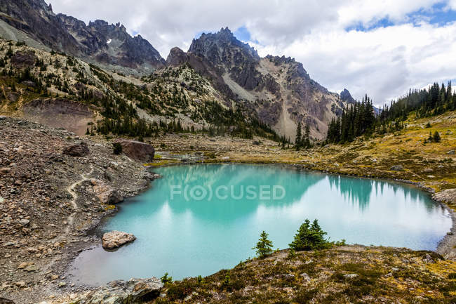 Upper Royal Basin with The Needles and Mt. Clark in the background, Olympic Mountains, Olympic National Park, Washington, United States of America — Stock Photo