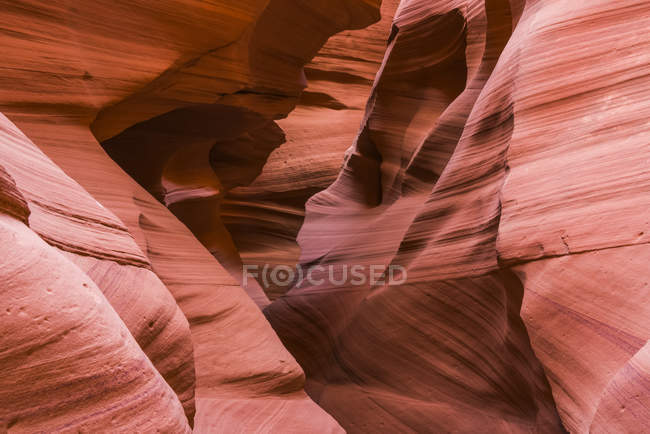 Vista panoramica del maestoso Slot canyon conosciuto come Canyon del serpente a sonagli; Pagina, Arizona, Stati Uniti d'America — Foto stock