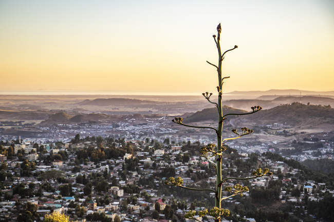 Vista panoramica su Gondar, regione di Amhara, Etiopia — Foto stock