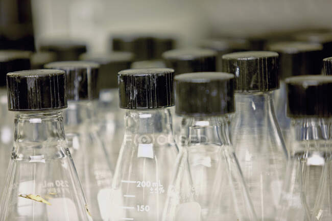 Glass beakers in laboratory, close-up view — Stock Photo