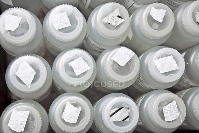 Recipientes de amostra de plástico em laboratório, close-up — Fotografia de Stock