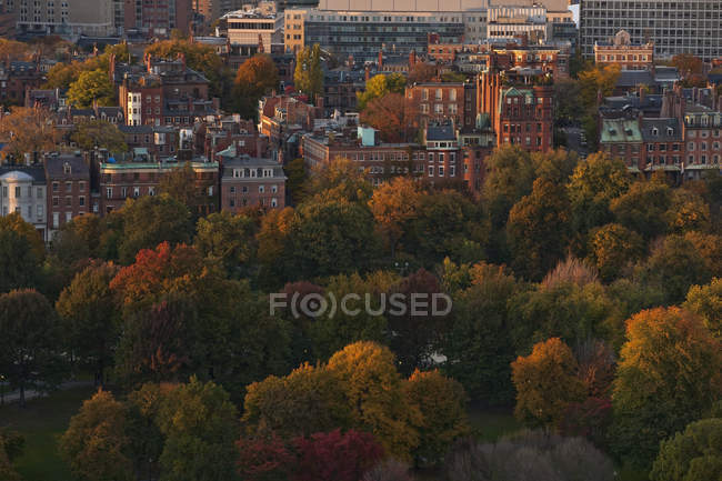Árboles de otoño en un parque, Boston Common, Beacon Hill, Boston, Condado de Suffolk, Massachusetts, EE.UU. - foto de stock