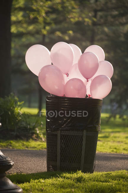 Palloncini in un bidone della spazzatura in un parco, Boston, Contea di Suffolk, Massachusetts, Stati Uniti — Foto stock