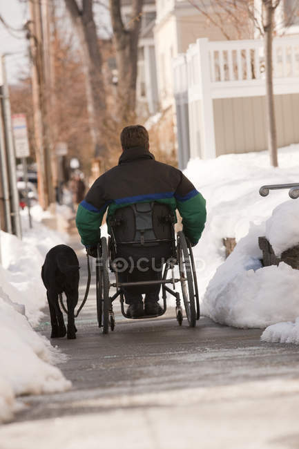 Mulher com esclerose múltipla em uma cadeira de rodas com um cão de serviço na neve de inverno — Fotografia de Stock