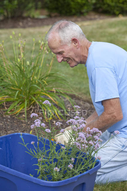 Mann mit Friesenataxie arbeitet im Garten — Stockfoto