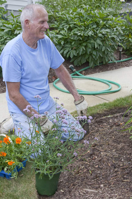 Homme âgé plantant des fleurs dans son jardin — Photo de stock