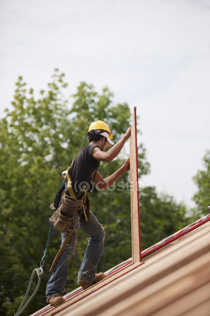 Carpintero hispano llevando un tablero de partículas en una casa en construcción - foto de stock