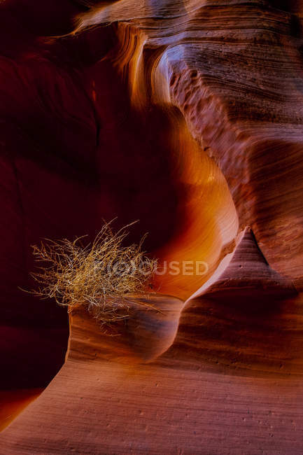 Vue panoramique sur Canyon X ; Page, Arizona, États-Unis d'Amérique — Photo de stock