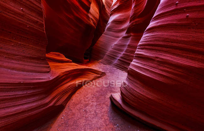 Vista panorámica del cañón de la serpiente de cascabel; Page, Arizona, Estados Unidos de América - foto de stock