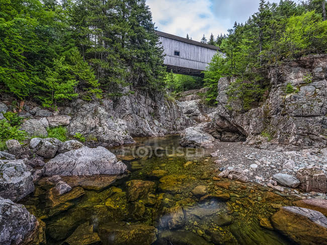 Storico ponte coperto su un ruscello poco profondo; Saint John, New Brunswick, Canada — Foto stock