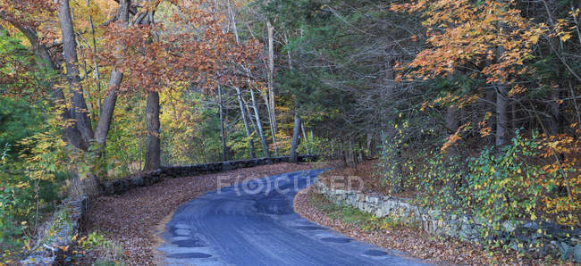 Camino de la granja en otoño, Broadmoor Wildlife Sanctuary, Natick, Massachusetts, EE.UU. - foto de stock