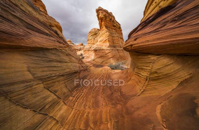 Удивительные песчаники и скальные образования Южного Койота Батта; Аризона, Соединенные Штаты Америки — стоковое фото