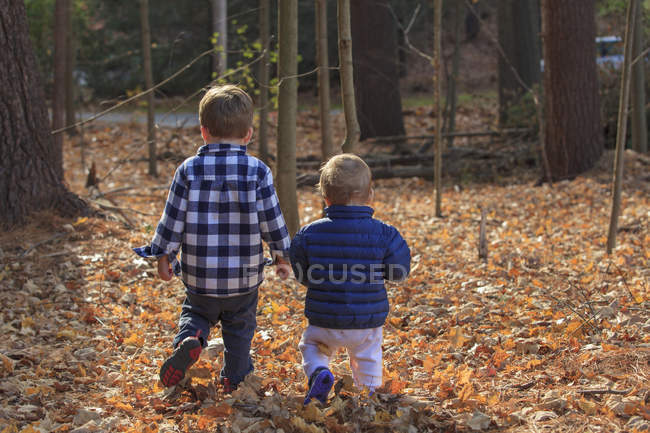 Vista trasera de un niño y su hermanita caminando sobre hojas caídas - foto de stock