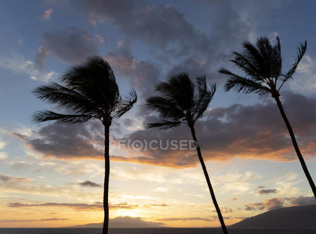Kamaole One and Two beaches, Kamaole Beach Park; Kihei, Maui, Hawaii, United States of America — Stock Photo