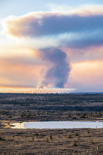 Plume of smoke from the Oregon Lakes wildfire rising high into the sky near Delta Junction in 2019; Alaska, United States of America — Stock Photo