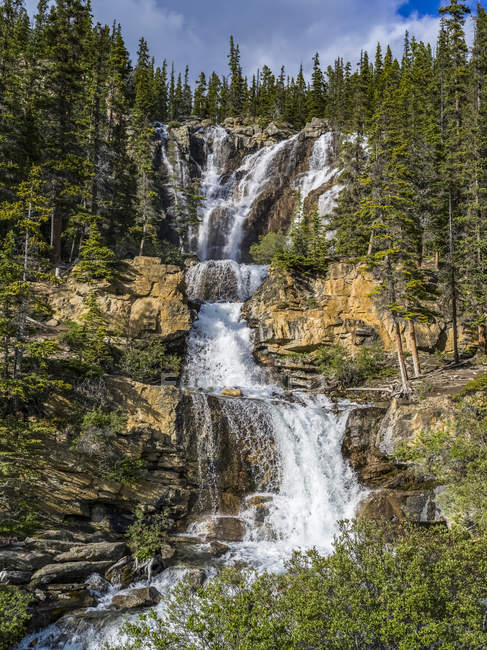 Waterfalls flowing down the rugged cliffs in the forest along the Icefield Parkway, Improvement District No. 12; Alberta, Canada — Stock Photo