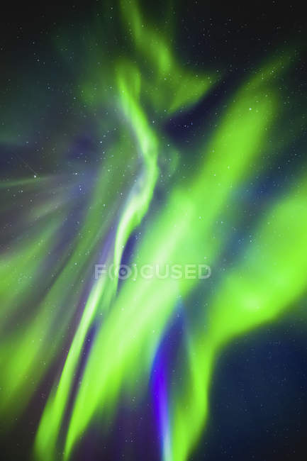 Зелене світло у зоряному небі в національному парку Елк - Айленд (Альберта, Канада). — стокове фото